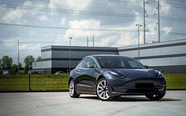 M. Knijnenburg / Shutterstock