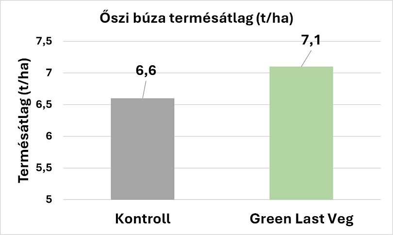 KITE Zrt. Green Last Veg n&ouml;v&eacute;nykondicion&aacute;l&aacute;si kezel&eacute;s (15 l/ha) eredm&eacute;nye őszi b&uacute;za term&eacute;shozam&aacute;ra  (2024, Karcag)