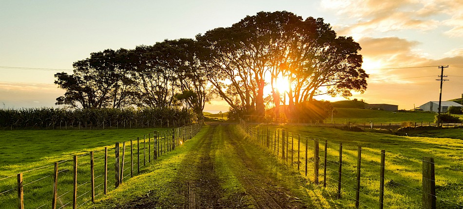 Werner Sevenster/Unsplash