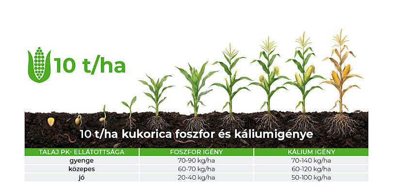 Nitrog&eacute;nművek Zrt.