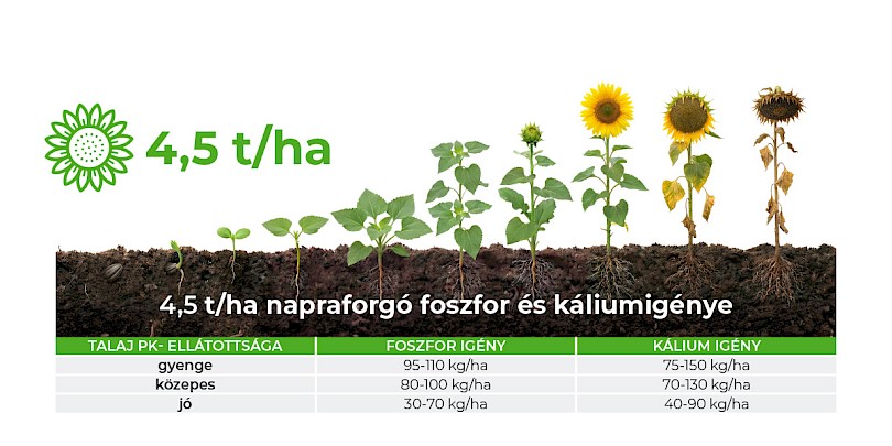 Nitrog&eacute;nművek Zrt.