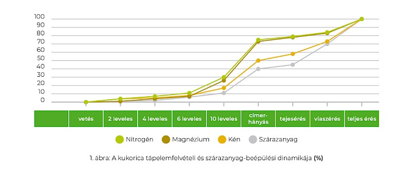Nitrog&eacute;nművek Zrt.