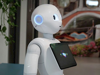 Vajon melyik ország uralja az "emberszerű" robotok piacát?