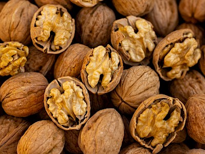 A dió egy igazi superfood: 10 érv rendszeres fogyasztása mellett