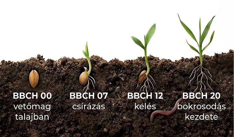 Nitrog&eacute;nművek Zrt.