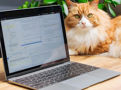 Letelt az egy év: meddig kapnak frissítést a Windows 10 használók?